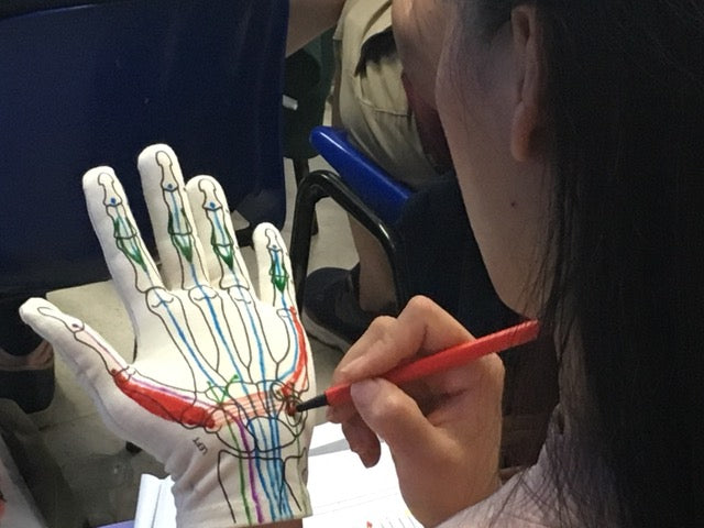 Anatomy Glove Learning System - Guanto e accesso online ai video formativi