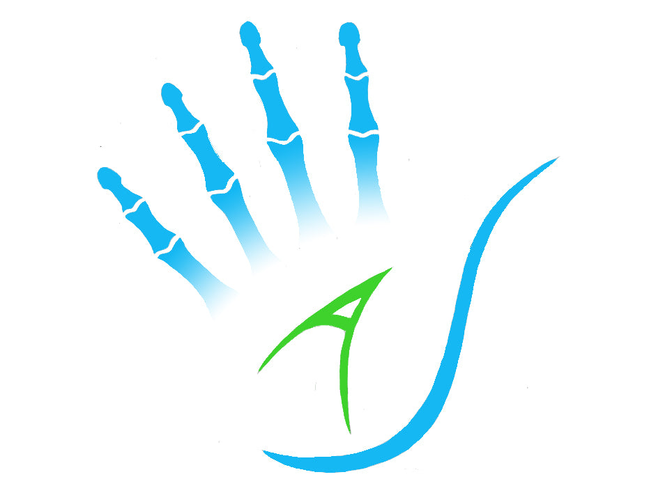Anatomy Glove Learning System - Guanto e accesso online ai video formativi