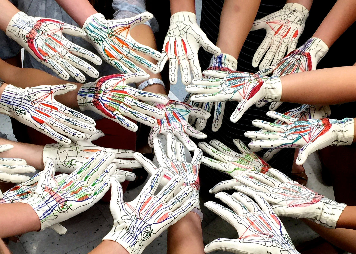 Anatomy Glove Learning System - Guanto e accesso online ai video formativi