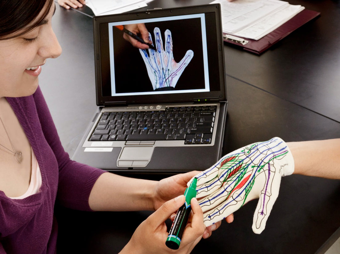 Anatomy Glove Learning System - Guanto e accesso online ai video formativi