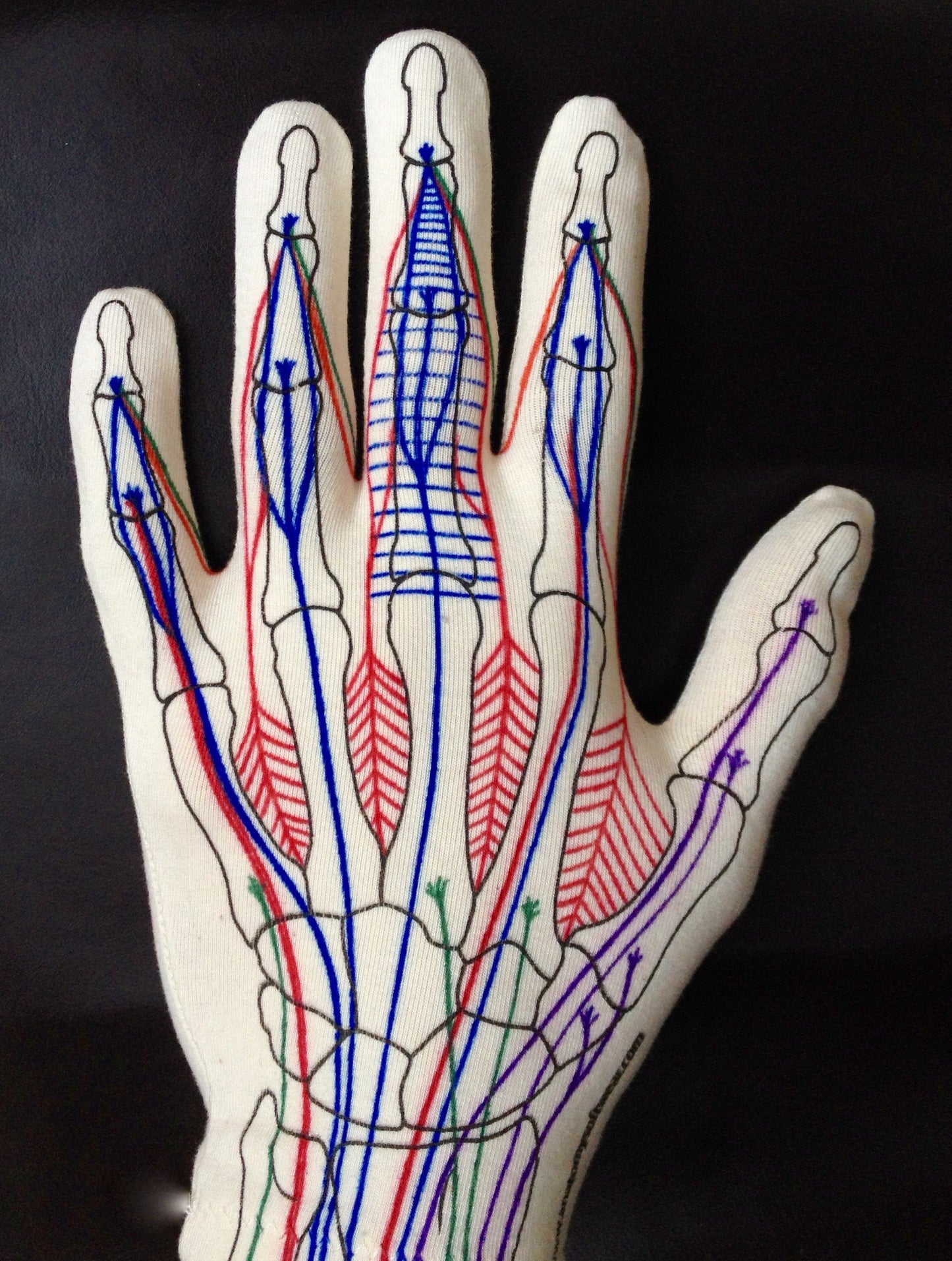 Anatomy Glove Learning System - Guanto e accesso online ai video formativi
