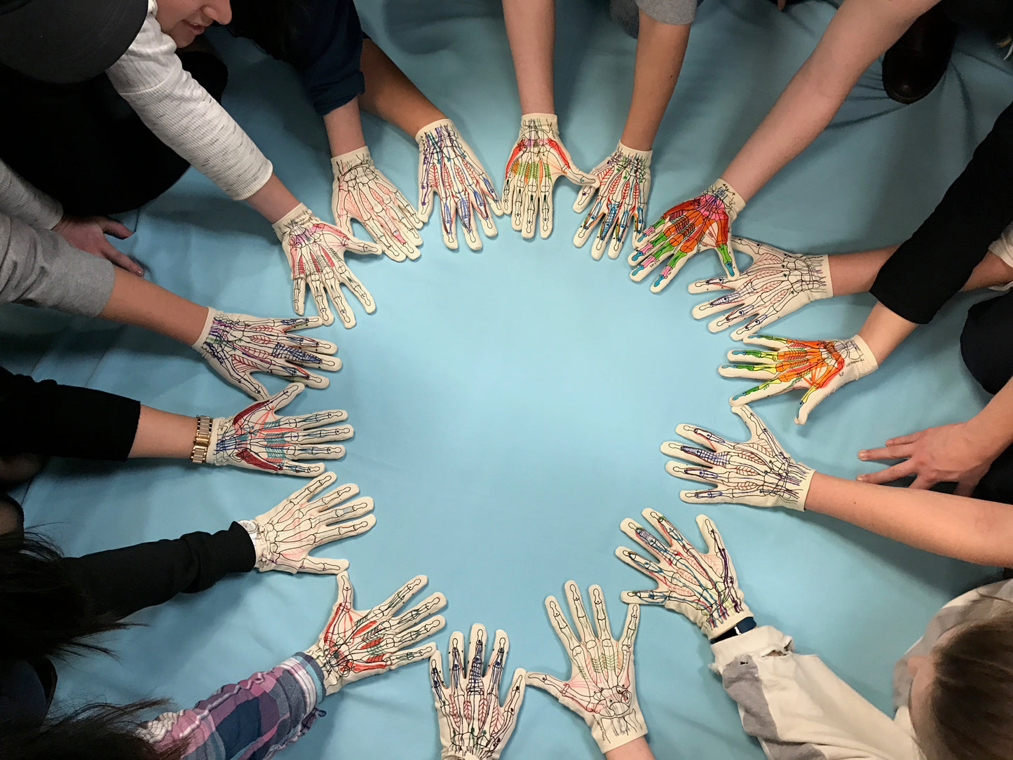 Anatomy Glove Learning System - Guanto e accesso online ai video formativi