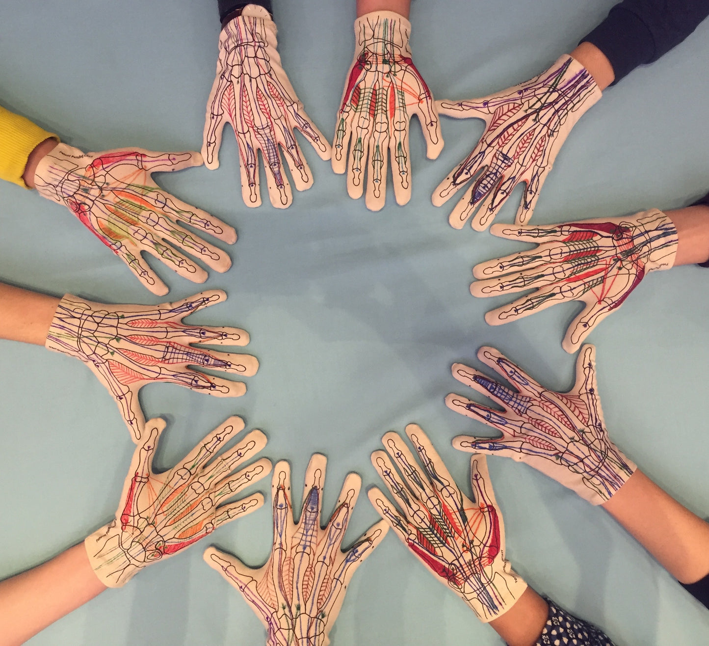 Anatomy Glove Learning System - Guanto e accesso online ai video formativi