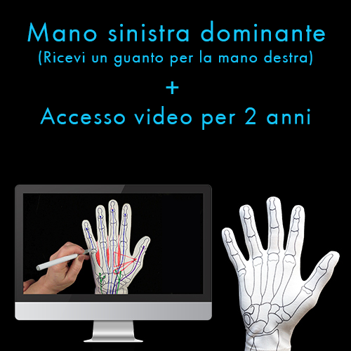 Anatomy Glove Learning System - Guanto e accesso online ai video formativi