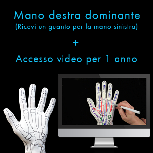 Anatomy Glove Learning System - Guanto e accesso online ai video formativi