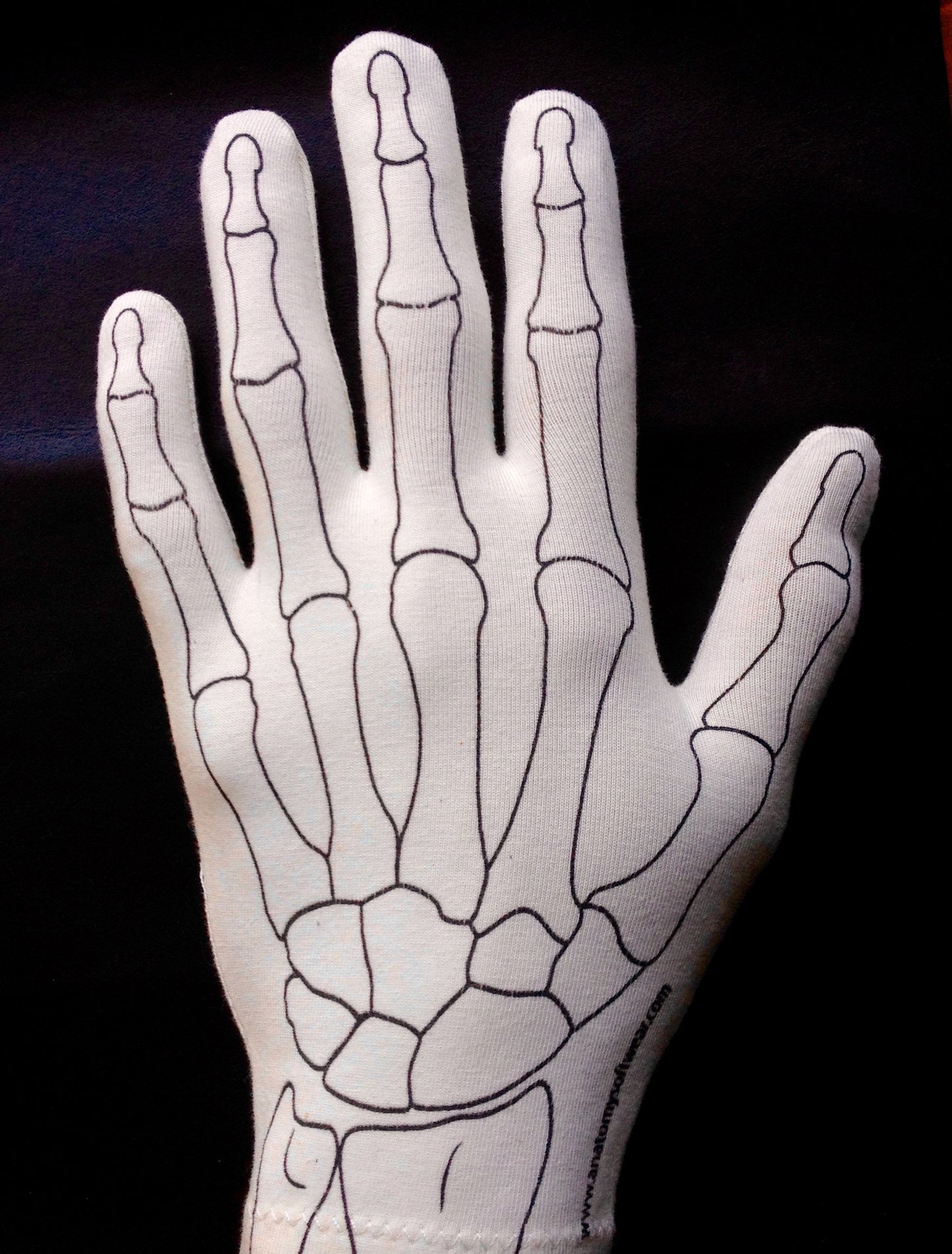 Anatomy Glove Learning System - Guanto e accesso online ai video formativi